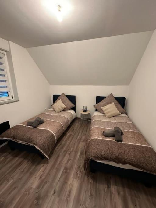 Appartement Algo Algolsheim Buitenkant foto